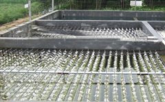 ���׏Uˮ̎�������O(sh��)��